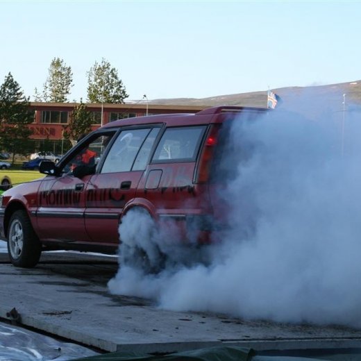 crop-19.06.2009_034__large_