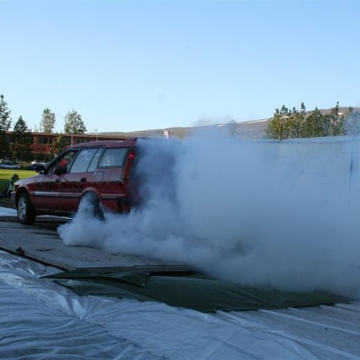 crop-19.06.2009_035__large_