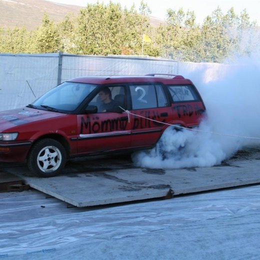 crop-19.06.2009_039__large_