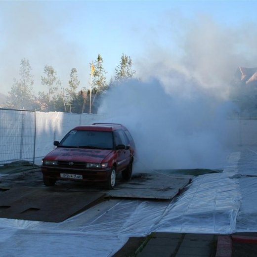 crop-19.06.2009_046__large_