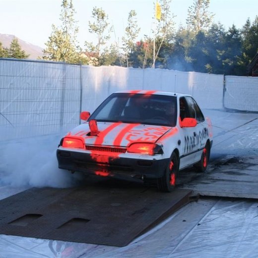 crop-19.06.2009_056__large_