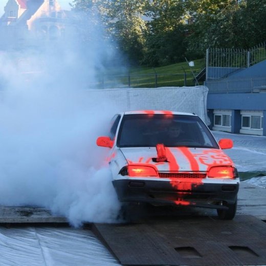 crop-19.06.2009_057__large_