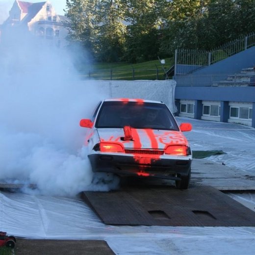 crop-19.06.2009_058__large_