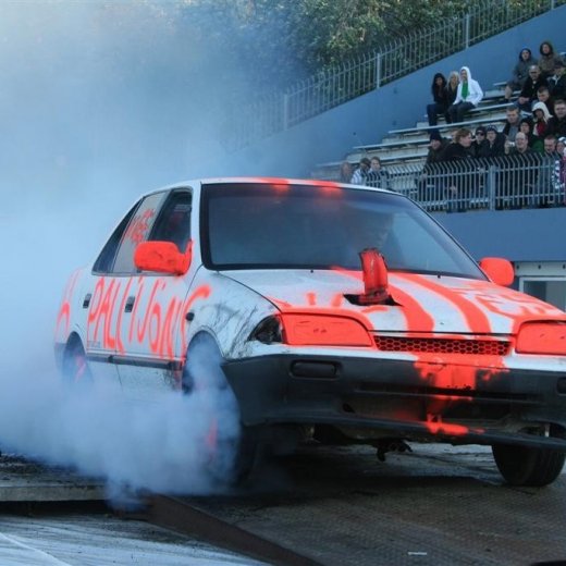 crop-19.06.2009_069__large_