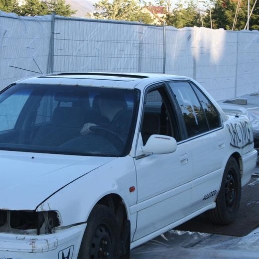 crop-19.06.2009_075__large_