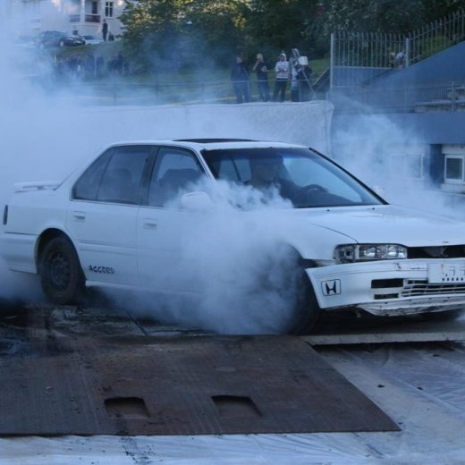 crop-19.06.2009_085__large_