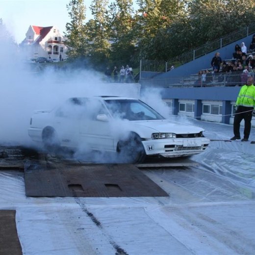 crop-19.06.2009_086__large_