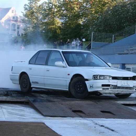 crop-19.06.2009_089__large_