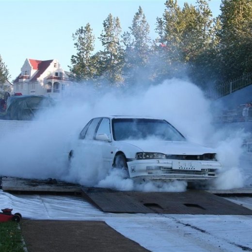 crop-19.06.2009_095__large_