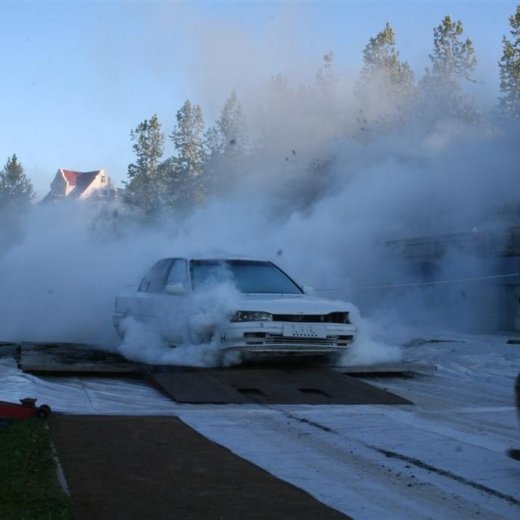 crop-19.06.2009_098__large_