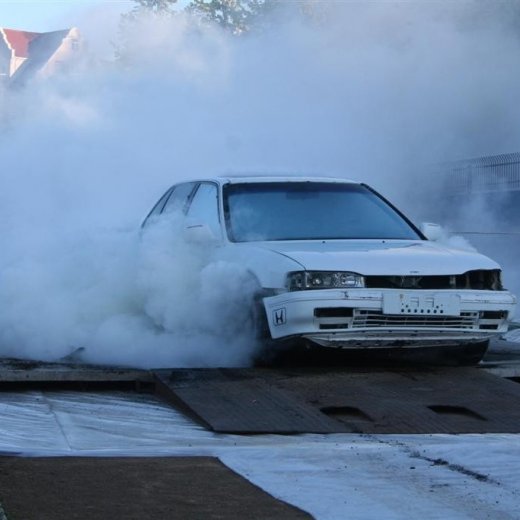 crop-19.06.2009_099__large_