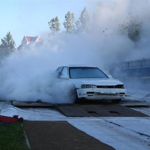 crop-19.06.2009_100__large_