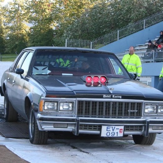 crop-19.06.2009_108__large_