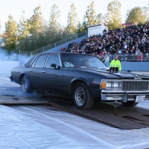 crop-19.06.2009_114__large_