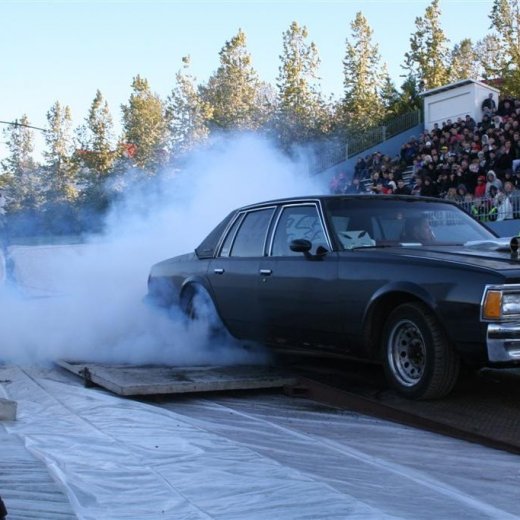 crop-19.06.2009_116__large_