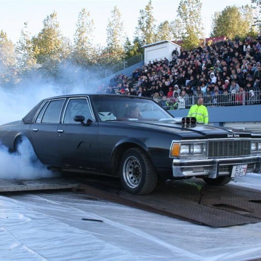 crop-19.06.2009_118__large_