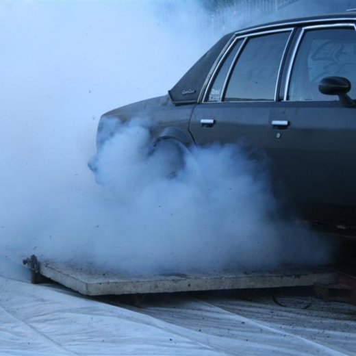 crop-19.06.2009_119__large_