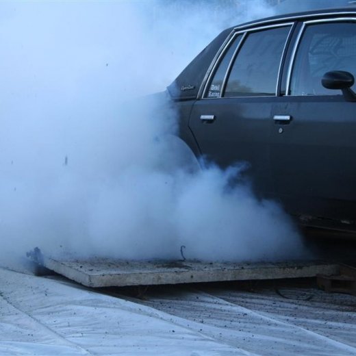 crop-19.06.2009_120__large_