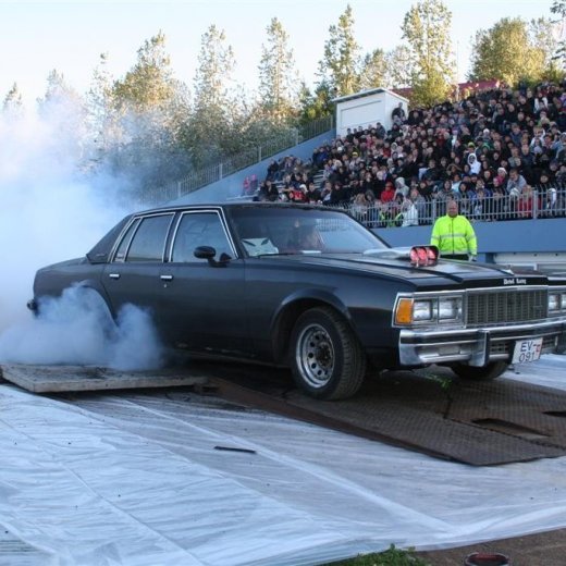 crop-19.06.2009_123__large_