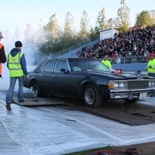 crop-19.06.2009_131__large_