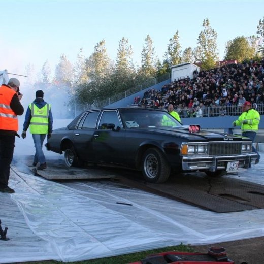 crop-19.06.2009_133__large_