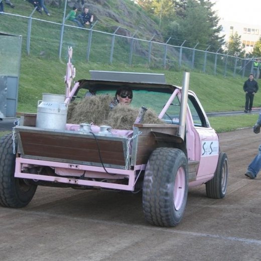 crop-19.06.2009_142__large_