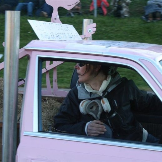 crop-19.06.2009_145__large_