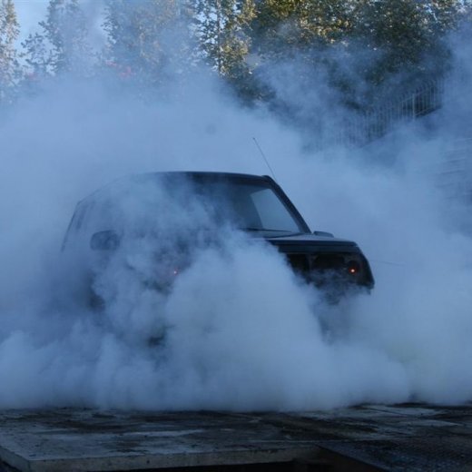 crop-19.06.2009_198__large_