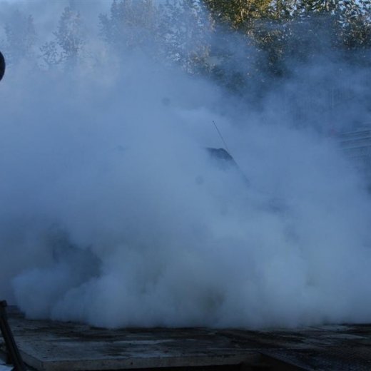 crop-19.06.2009_199__large_