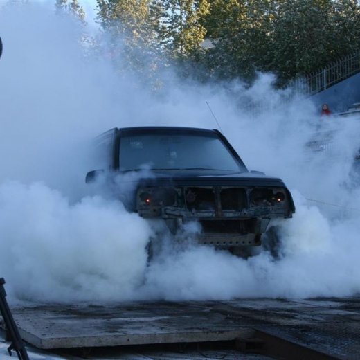 crop-19.06.2009_201__large_