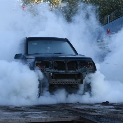 crop-19.06.2009_202__large_