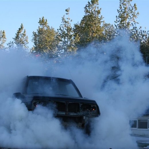 crop-19.06.2009_207__large_