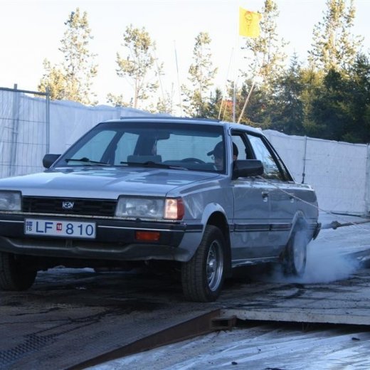 crop-19.06.2009_213__large_