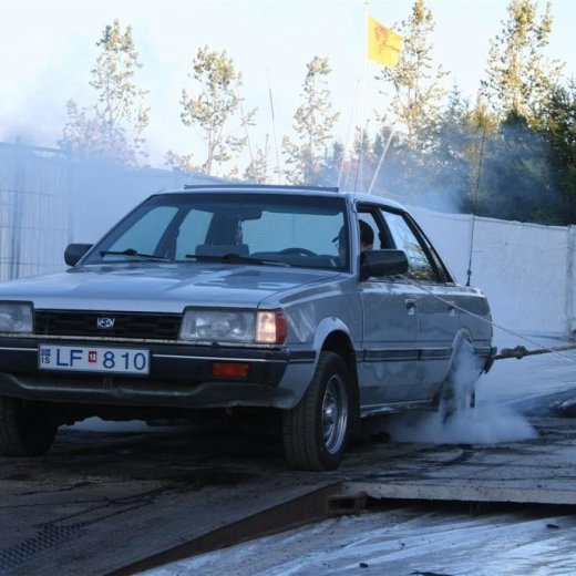 crop-19.06.2009_214__large_