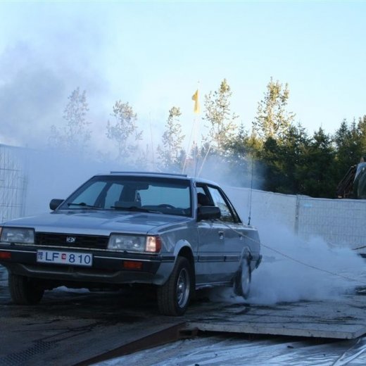 crop-19.06.2009_215__large_