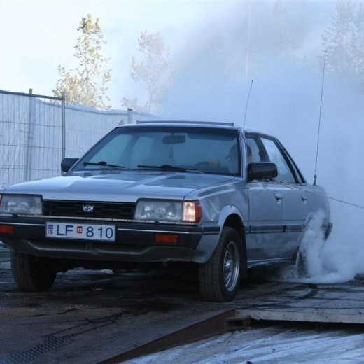 crop-19.06.2009_220__large_