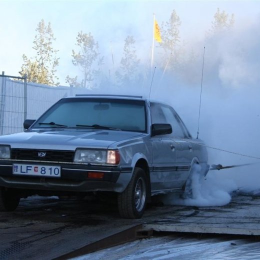 crop-19.06.2009_223__large_