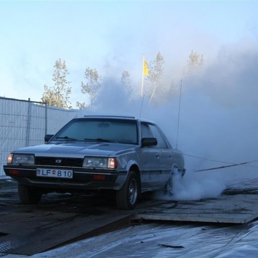 crop-19.06.2009_224__large_