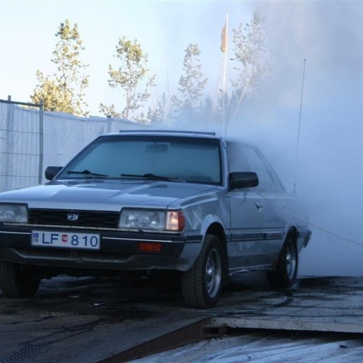 crop-19.06.2009_225__large_