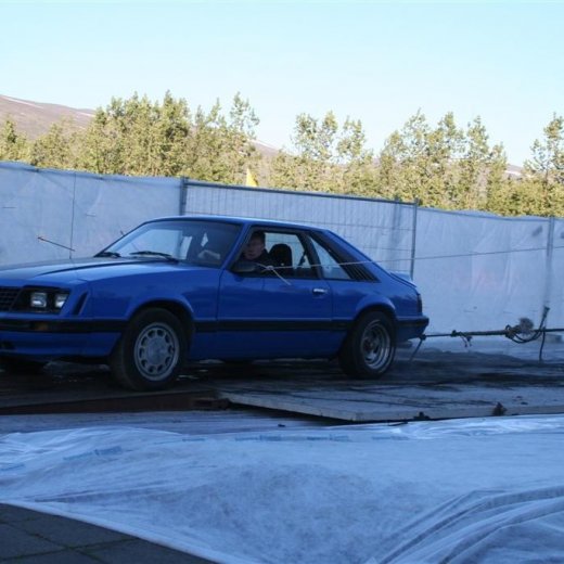 crop-19.06.2009_235__large_