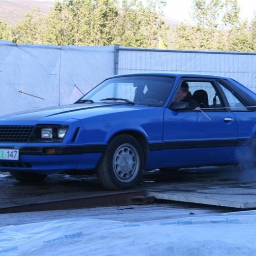 crop-19.06.2009_236__large_