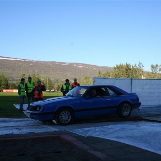 crop-19.06.2009_238__large_