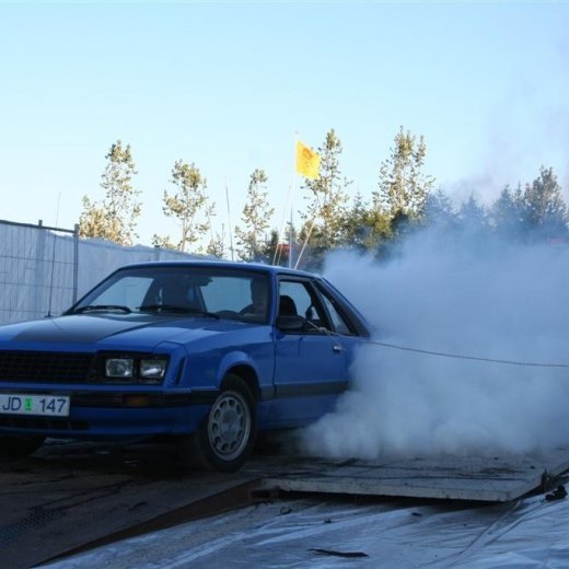 crop-19.06.2009_247__large_