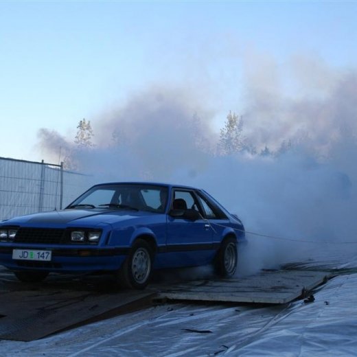 crop-19.06.2009_250__large_