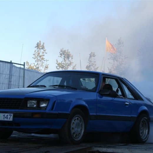 crop-19.06.2009_254__large_