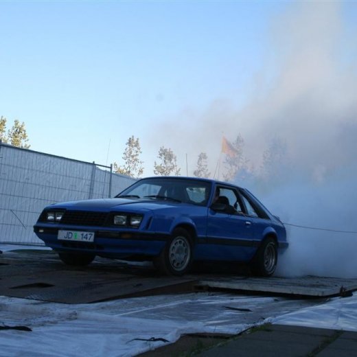 crop-19.06.2009_255__large_