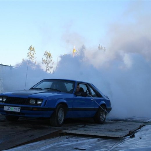 crop-19.06.2009_258__large_