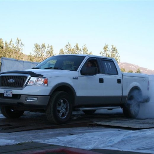 crop-19.06.2009_266__large_