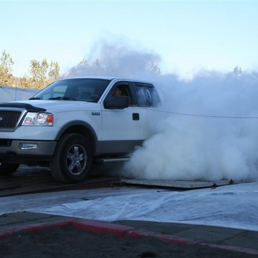 crop-19.06.2009_272__large_