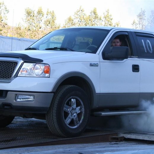 crop-19.06.2009_274__large_